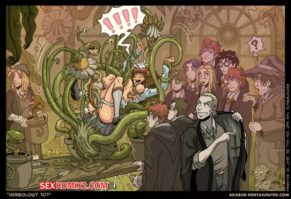 Қыздардың жыныстық қатынасы